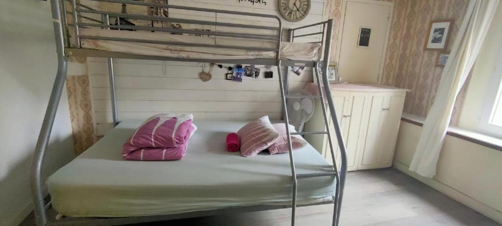 Hostel Fleur De Parijs